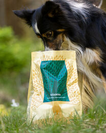 STAMINA, aktiivisille 10kg, s&auml;&auml;st&ouml;paketti 4 x 10kg, ESSENTIAL