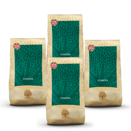STAMINA, aktiivisille 10kg, s&auml;&auml;st&ouml;paketti 4 x 10kg, ESSENTIAL